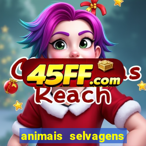 animais selvagens fotos e nomes